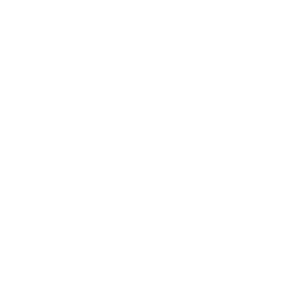 AUTOLIV