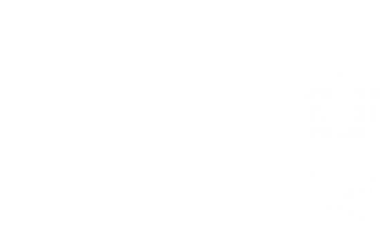 VALEO法雷奥