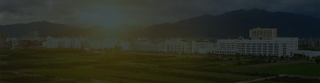 Company -Header